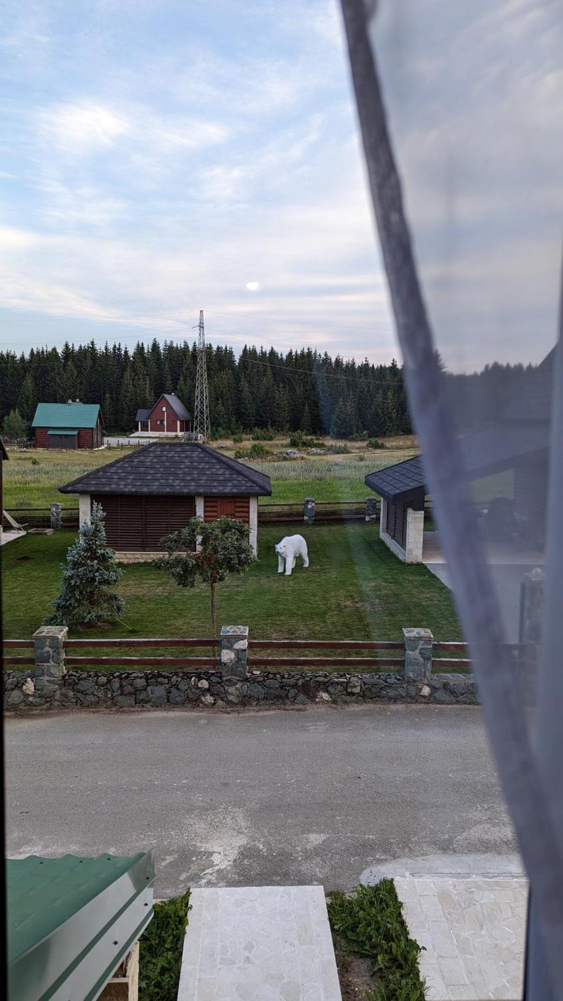 Mountain Haven Deluxe Lägenhet Žabljak Exteriör bild